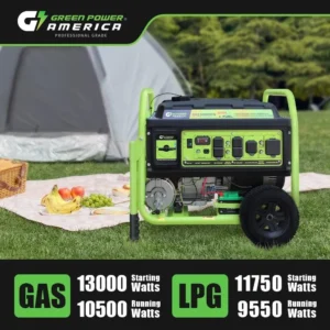 13000W Dual Fuel Portable Generator Electric Start - Image 5