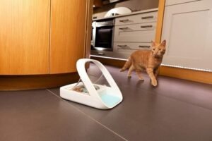 SureFeed Microchip Pet Feeder MPF001 for Wet and Dry Food - Image 2