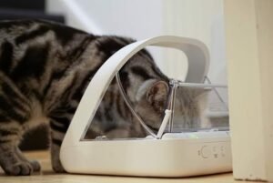 SureFeed Microchip Pet Feeder MPF001 for Wet and Dry Food - Image 3