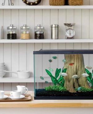 Tetra 29 Gallon Glass Aquarium Rectangular Fish Tank - Image 2