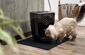 Smart Automatic Pet Feeder with App Control 32 Cup Capacity - Image 3