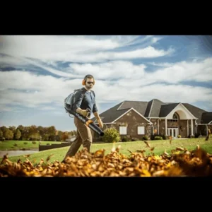 BR 450 Gas Backpack Blower - Image 2