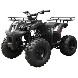 Tao T Force T125 ATV Mid-Size 120cc Automatic with Reverse - Image 4