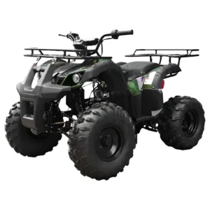 Tao T Force T125 ATV Mid-Size 120cc Automatic with Reverse - Image 2